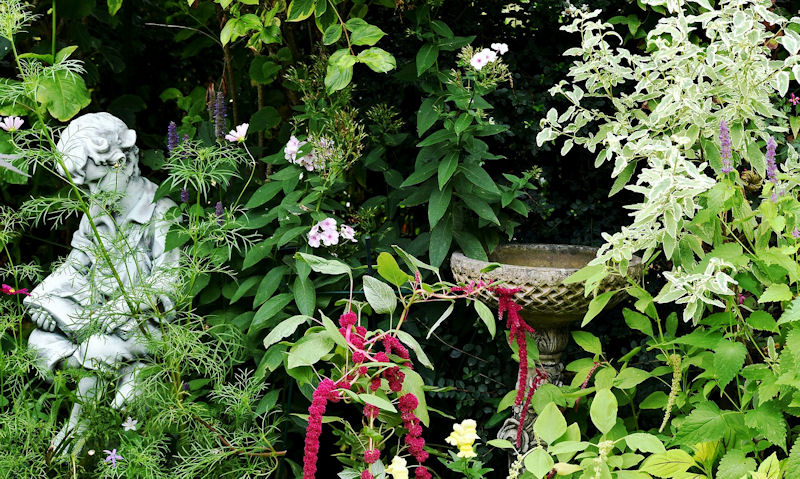 Decorative stone bird bath sitting among dense foliage