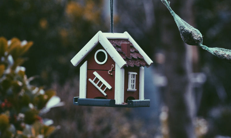 Decorative red barn style bird house hanging off tree branch