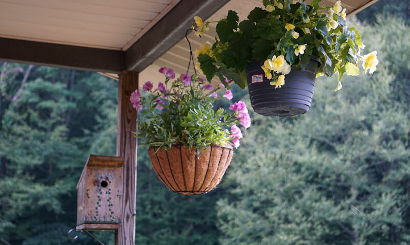 Wooden bird house mounted to underside of porch, alongside hanging flowers