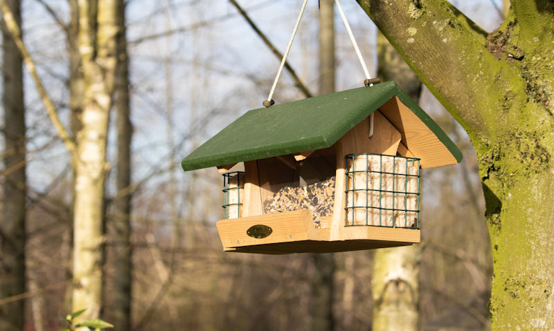 Green topped suspended wooden hopper bird feeder on tree