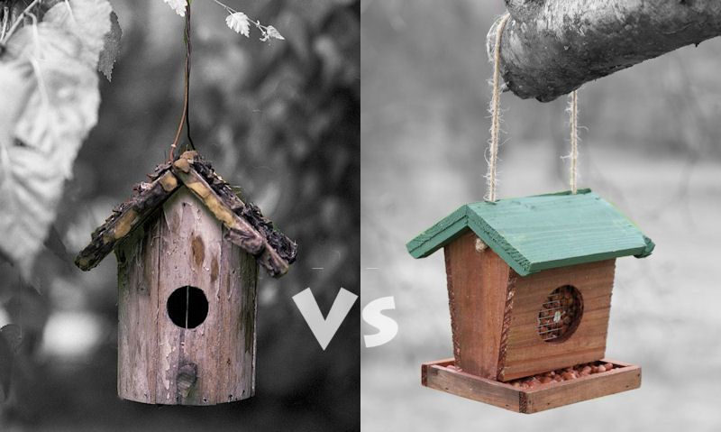 Hanging bird house side by side with hanging backyard bird nut feeder