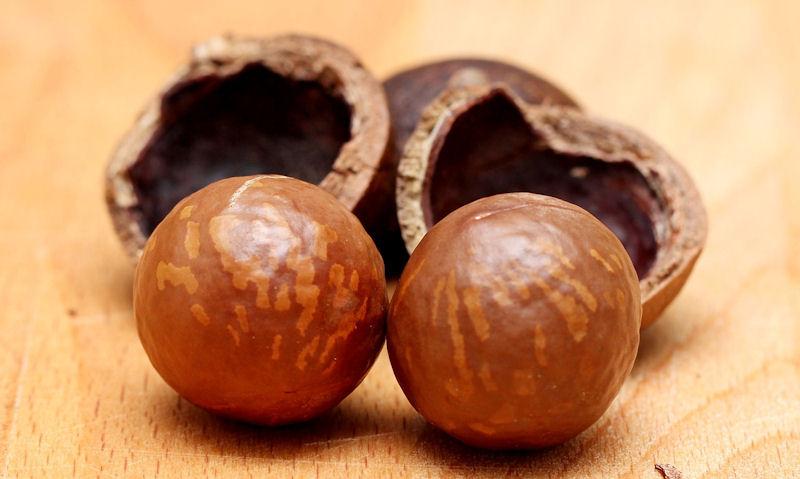 Two macadamia nuts de-shelled on wooden board