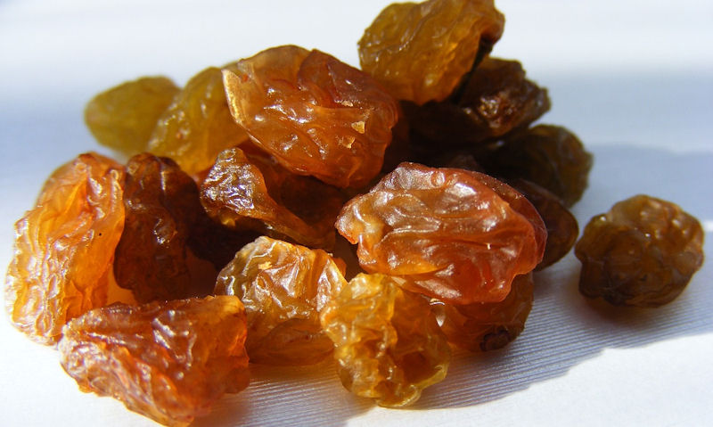 Small heap of dried raisins on white plate