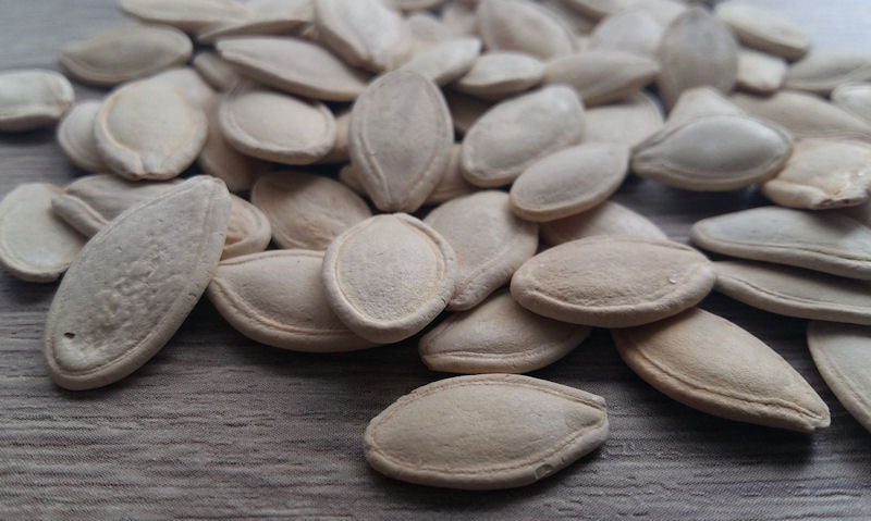Pile of ready to eat pumpkin seeds laid out on fabric
