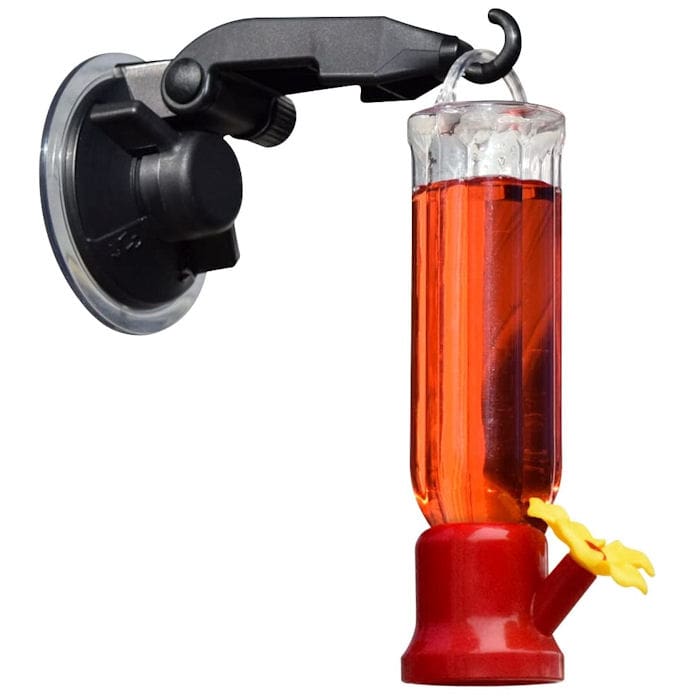 Gray Bunny - Window Hummingbird Feeder with Accessories