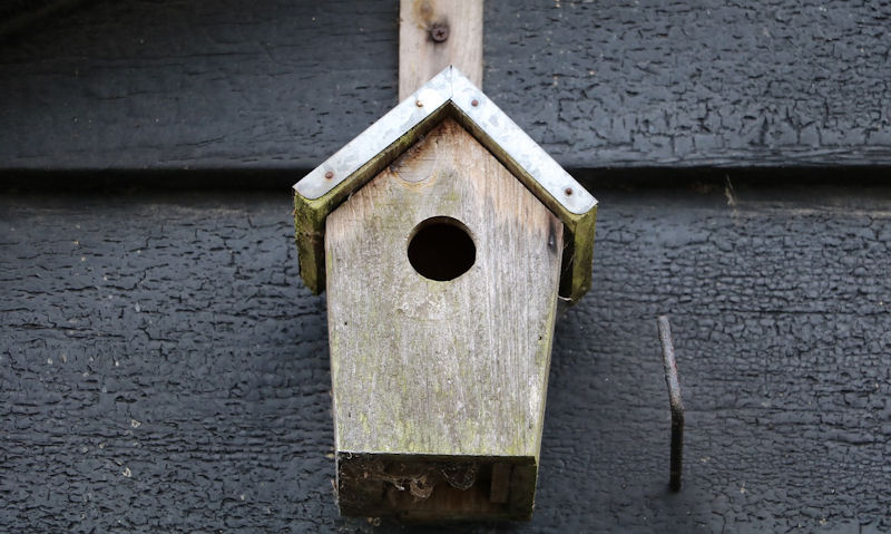 Wooden birdhouse screwed to painted black wooden cladding