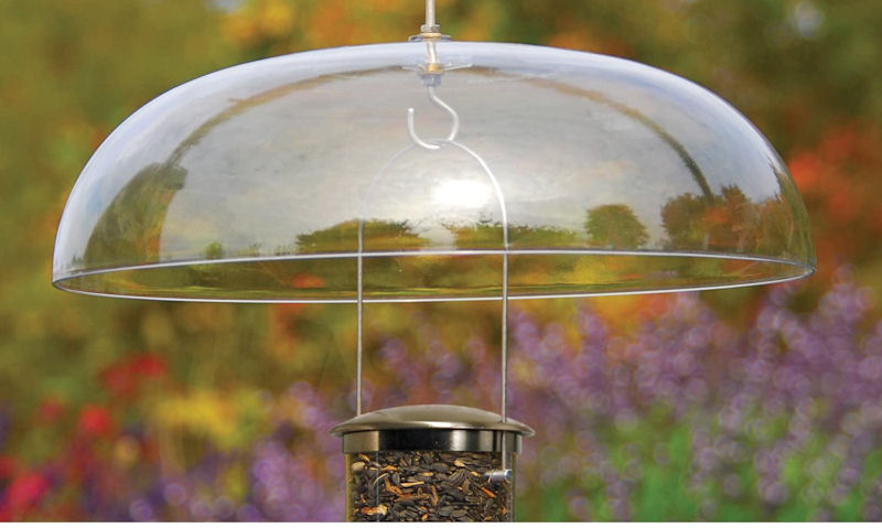 Hanging style squirrel baffle with seed feeder set below it