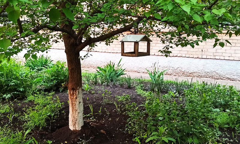 Covered wooden platform bird feeder hung off tree branch