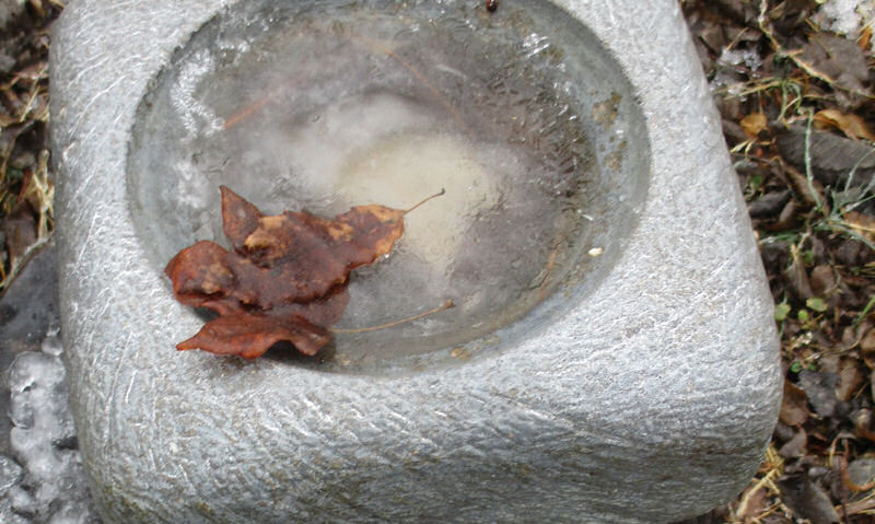 Frozen over stone bird bath in yard, leaf seen frozen in ice
