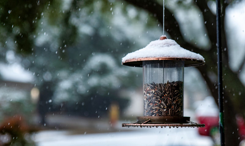 Seed feeder hanging off pole in snowy, wet conditions