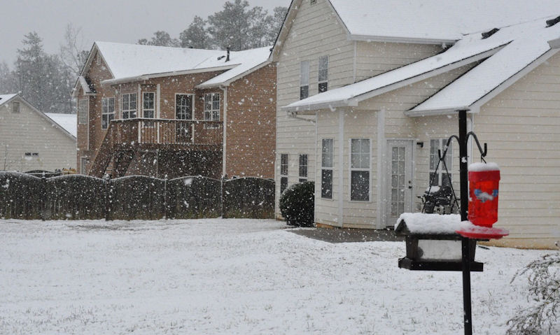 Hummingbird feeder suspended on pole in snowy winter scene