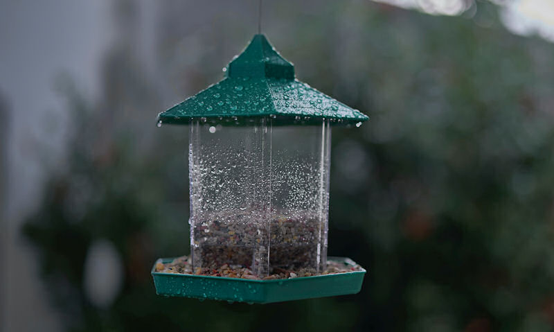 Suspended in tree, rain soaked gazebo style seed feeder