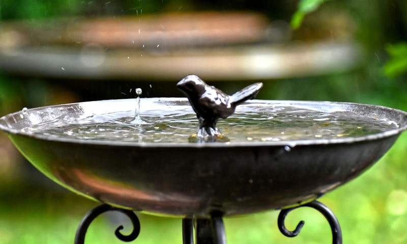 Metal bird bath on stand, sitting in rain