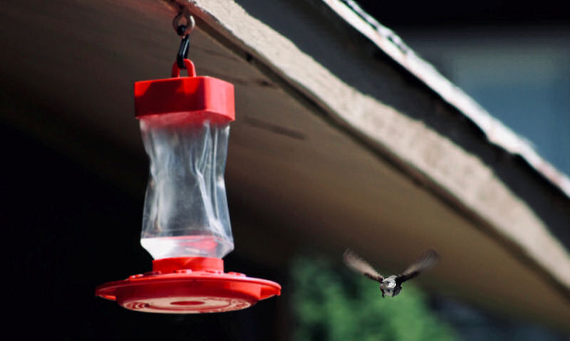 Hummingbird feeder hanging under the outskirts of a porch roof