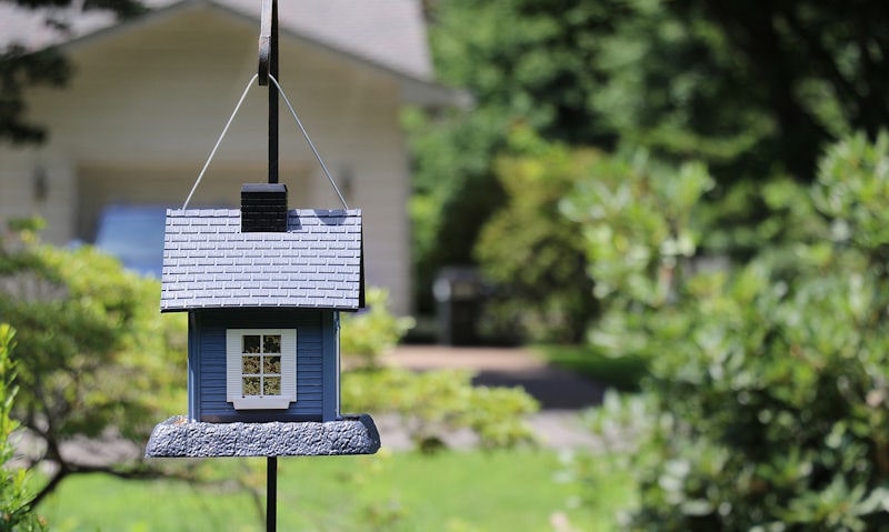 House style seed bird feeder hanging off sherpherd's hook
