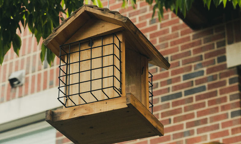Should bird feeders be painted