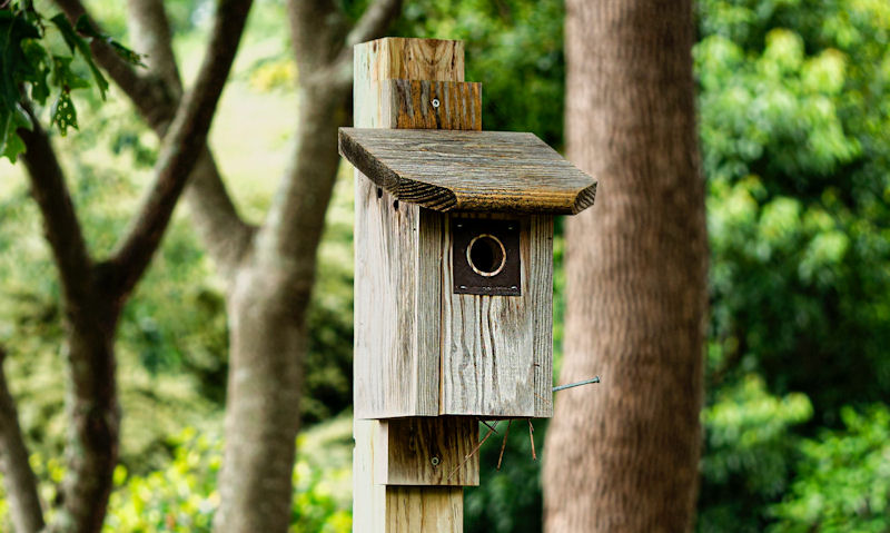 Heavily weathered wooden bird house mounted on post within wooded area