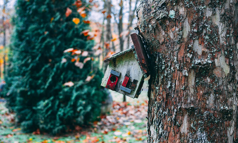 Christmas theme bird house hanging on an angle off a tree trunk