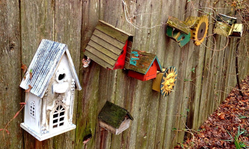 Various colorful and more practical bird houses mounted to fence in yard