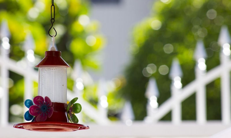 Hummingbird feeder hung low, near to and under structure