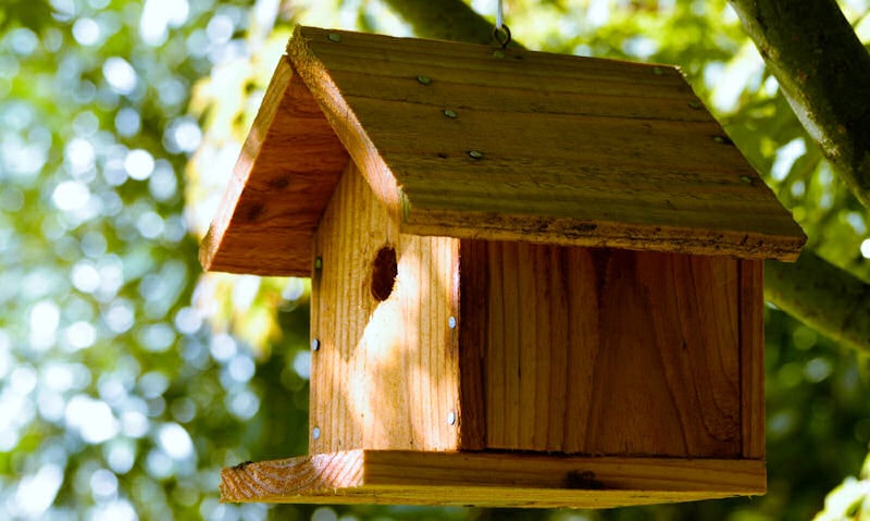 Untreated large birdhouse hanging up on rope within dense leafy tree