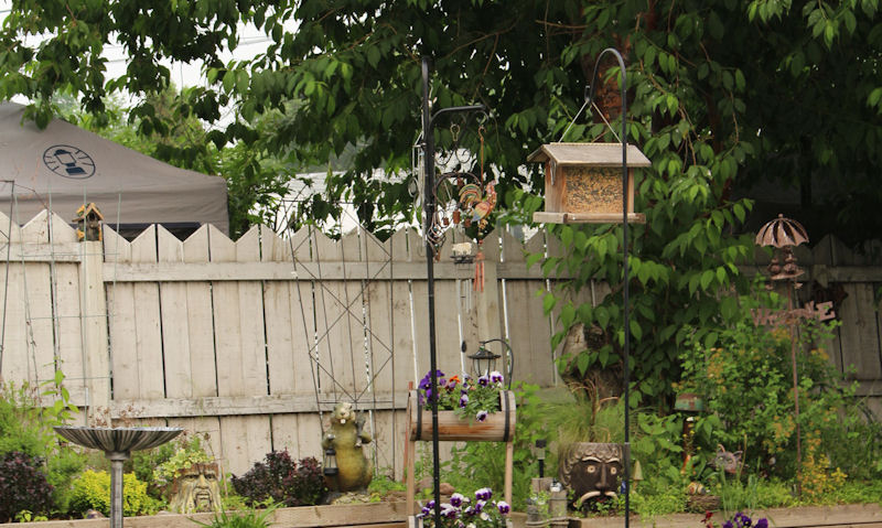 Bird feeder pole impaled on lawn, in tidy backyard with tree foliage