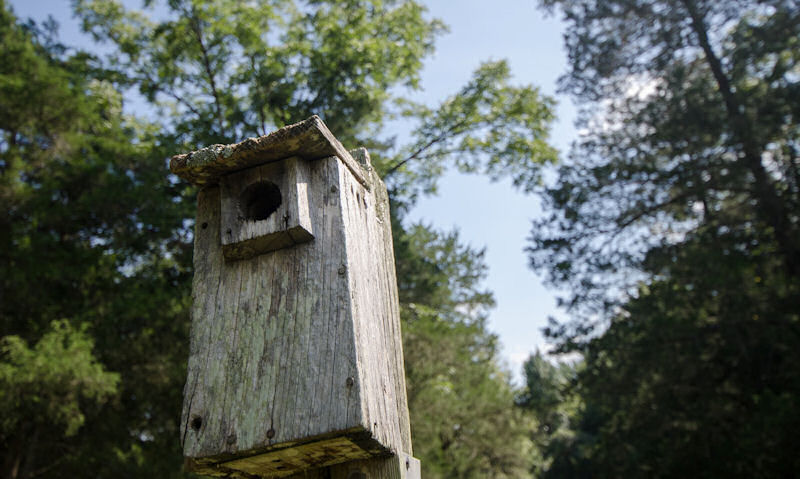 Heavy weathered wooden birdhouse mounted to post with entry hole flush against roof