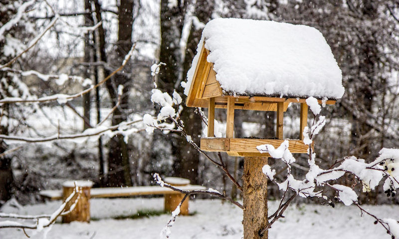 Snow covered bird table with roof sheltering bird feed on platform